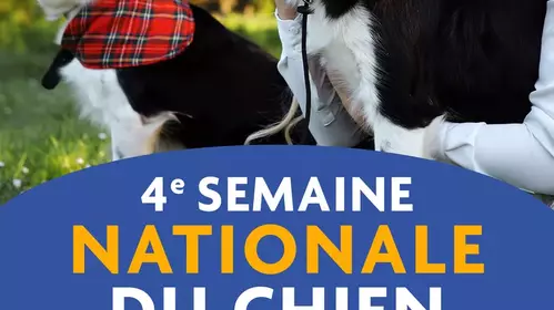SEMAINE NATIONALE DU CHIEN