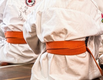 KARATÉ SHOTOKAN WISSOUS